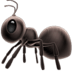 :ant: :ant: