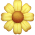 :blossom: :blossom: