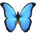 :butterfly: :butterfly: