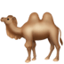 :camel: :camel:
