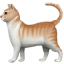:cat2: :cat2: