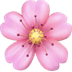 :cherry_blossom: :cherry_blossom: