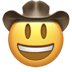 cowboy_hat_face