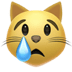 :crying_cat_face: