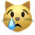 :crying_cat_face: :crying_cat_face: