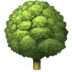:deciduous_tree: :deciduous_tree: