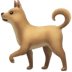 :dog2: :dog2: