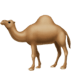 :dromedary_camel: :dromedary_camel: