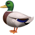 :duck: