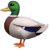 :duck: :duck: