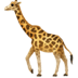 :giraffe: :giraffe: