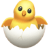 :hatching_chick: