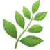 :herb: :herb: