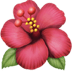 :hibiscus: :hibiscus: