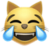 :joy_cat: :joy_cat: