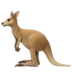 :kangaroo: :kangaroo: