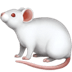 :mouse2: :mouse2: