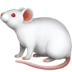 :mouse2: