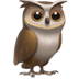 :owl: