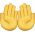 :palms_up_together: :palms_up_together: