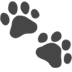 :paw_prints: