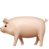 :pig2: