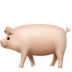 :pig2: :pig2: