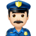 :policeman:t2: :policeman:t2: