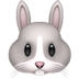 :rabbit: