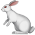 :rabbit2: