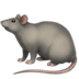 :rat: