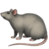 :rat: :rat: