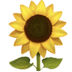 :sunflower: :sunflower: