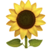 :sunflower: