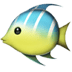 :tropical_fish: