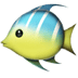 :tropical_fish: :tropical_fish: