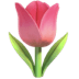 :tulip: :tulip: