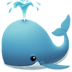 :whale: :whale: