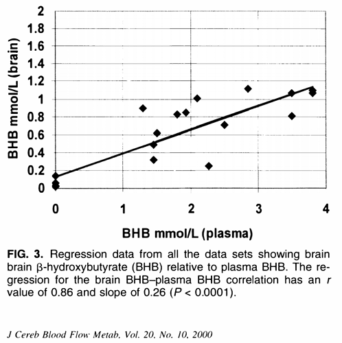 Bohb_plasma_brain