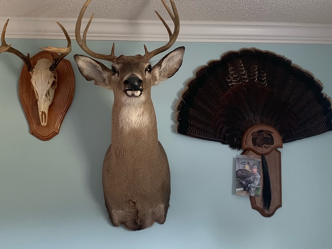 image0hunt