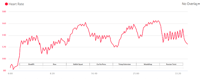 HIIT%20Results