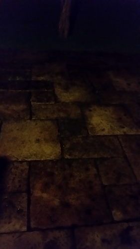 20190122_193703