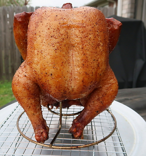 snooked%20yardbird