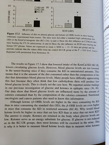 page2