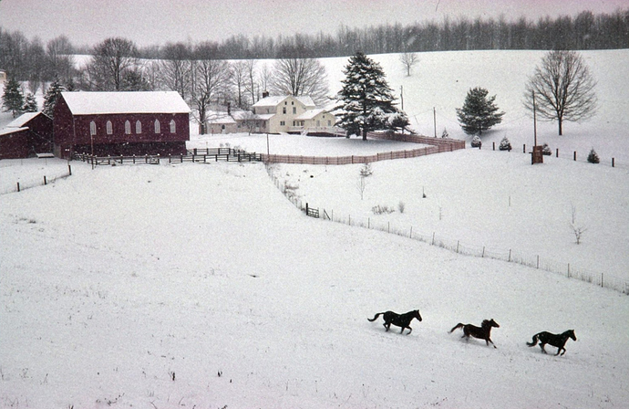 FarmWinter