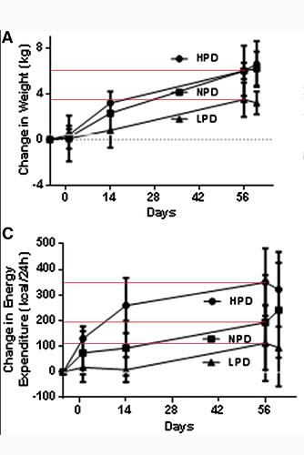 EffectOfProteinOverfeeding