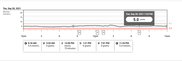 CGM%208