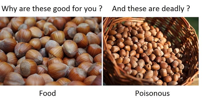 acorns