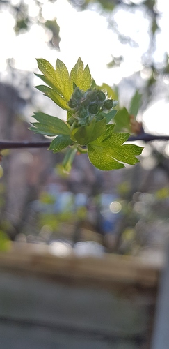 20190331_164807