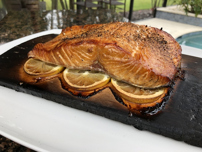 salmon